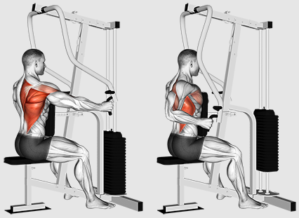 Πρέπει να επικεντρωθούμε σε σειρές ή να τραβήξει για καλύτερη εκπαίδευση πίσω;