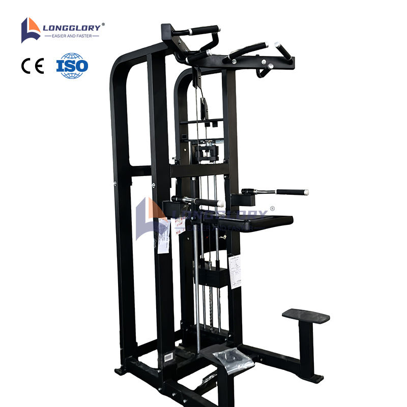 Assist Dip Chin Machine